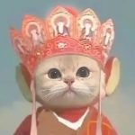 亦哥-怪兽网创俱乐部