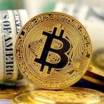 怪兽币圈活动的头像-怪兽网创俱乐部