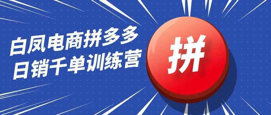 白凤电商拼多多日销千单训练营-怪兽网创俱乐部