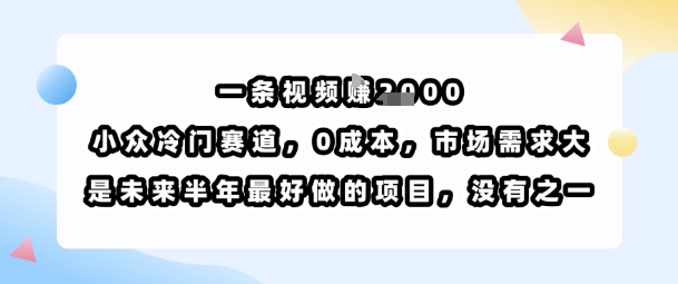 一条视频挣1k，小众冷门赛道，0成本，市场需求大，是未来半年最好做的项目，没有之一-怪兽网创俱乐部