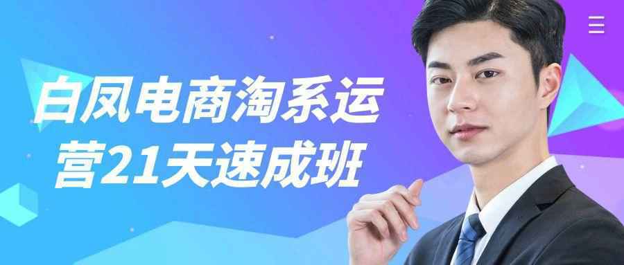 白凤电商淘系运营21天速成班-怪兽网创俱乐部