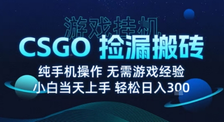 8月最新游戏搬砖，CSGO纯挂G，不需要玩游戏，实现真挂G，月入1W+【揭秘】-怪兽网创俱乐部
