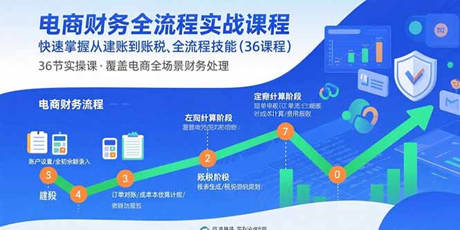电商财务全流程实战课程：快速掌握从建账到报税的全流程技能(36节课-怪兽网创俱乐部