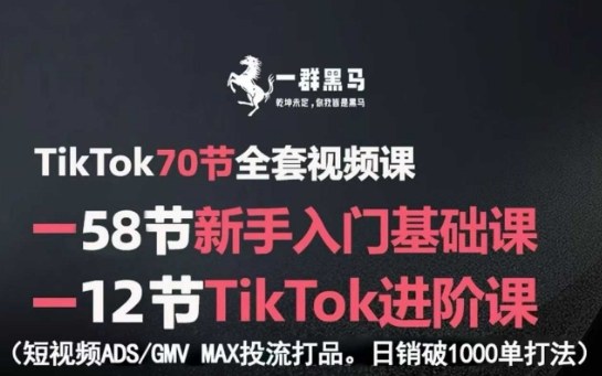 TikTok全套视频课，新手入门+进阶课，短视频ADS-GMV MAX投流打品，日销破1000单打法-怪兽网创俱乐部