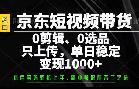 你出账号，我来运营，保底日入1k+，开启躺賺模式【揭秘】-怪兽网创俱乐部