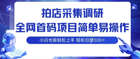 拍店采集调研，全网首码项目，简单易操作， 小白也能轻松上手，多账号操作，轻松日入5张【揭秘】-怪兽网创俱乐部