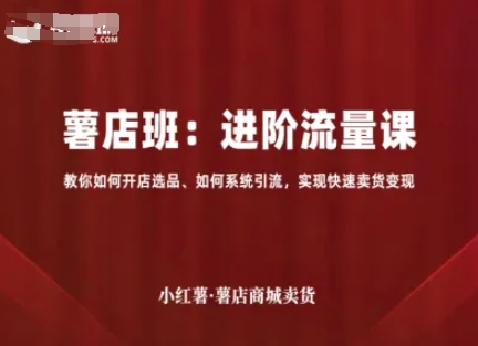 小红薯薯店商城卖货，进阶流量课，教你如何开店选品、如何系统引流，实现快速卖货变现-怪兽网创俱乐部