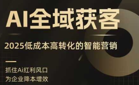AI全域获客实训营，2025低成本高转化的智能营销，精准找客，高效营销-怪兽网创俱乐部