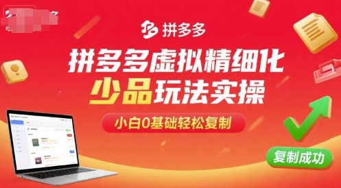 拼多多虚拟精细化少品玩法实操，小白0基础轻松复制-怪兽网创俱乐部