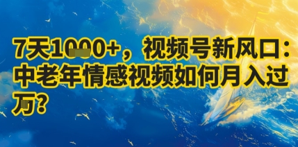 7天收益1k+，视频号新风口：中老年情感视频如何月入过W?-怪兽网创俱乐部