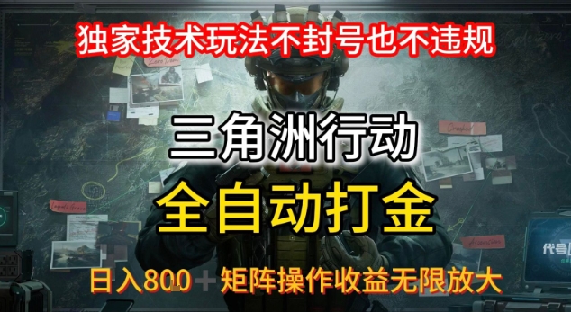 三角洲板砖揭秘项目免费送卡密-怪兽网创俱乐部