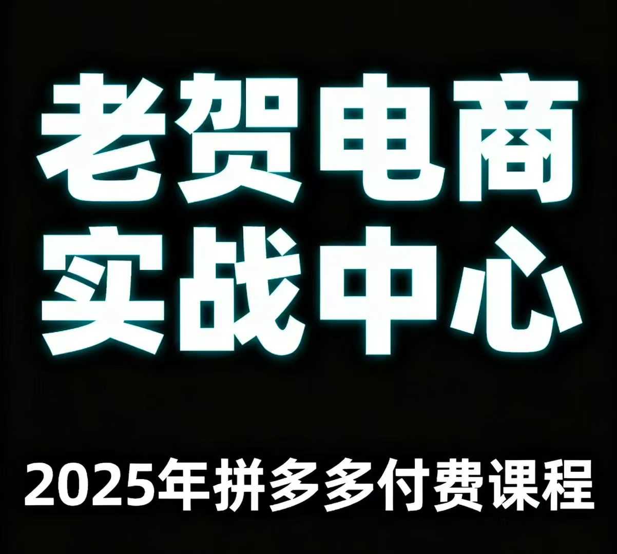 老贺电商2025年拼多多付费课程，用通俗易懂的方法告诉你多多怎么玩-怪兽网创俱乐部