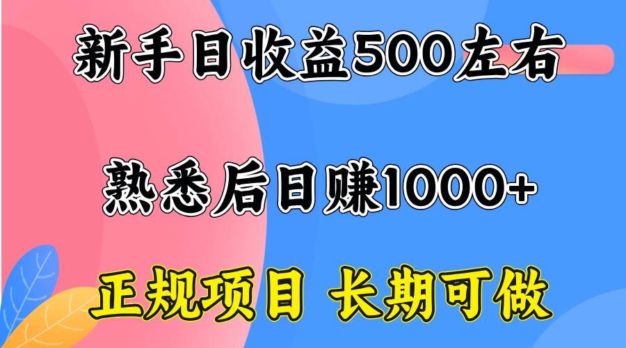 （15978期）一台电脑，前期日收益300-500，熟练后日入1000左右-怪兽网创俱乐部
