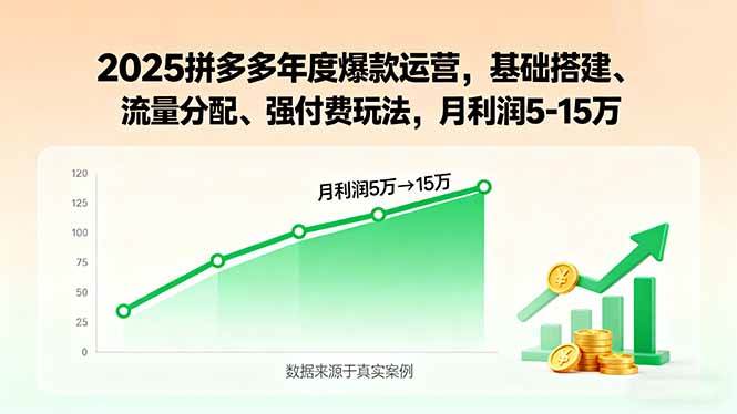 （15973期）2025拼多多年度爆款运营，基础搭建、流量分配、强付费玩法，月利润5-15万-怪兽网创俱乐部