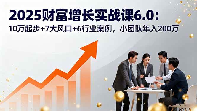 （16004期）2025财富增长实战课6.0：10万起步+7大风口+6行业案例，小团队年入200万-怪兽网创俱乐部