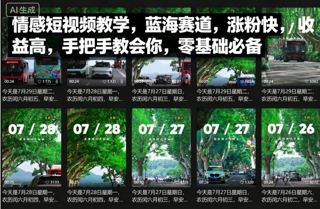 情感短视频教学，蓝海赛道，涨粉快，收益高，手把手教会你，零基础必备-怪兽网创俱乐部