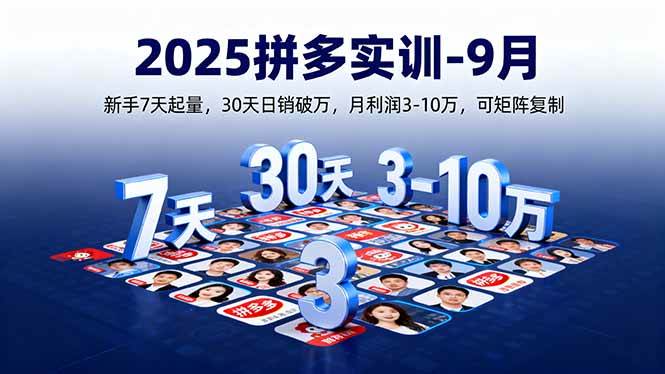 （16008期）2025拼多多实训-9月：新手7天起量,30天日销破万,月利润3-10万,可矩阵复制-怪兽网创俱乐部
