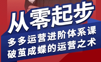 拼多多运营进阶系统课，从零起步，多多运营进阶体系课，破茧成蝶的运营之术（更新9月）-怪兽网创俱乐部