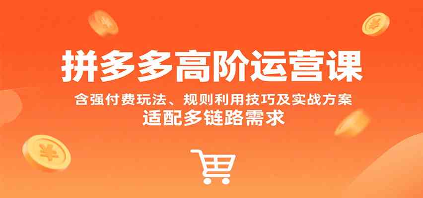 拼多多高阶运营课，含强付费玩法、规则利用技巧及实战方案，适配多链路需求-怪兽网创俱乐部