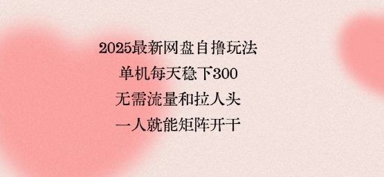 2025最新网盘自撸玩法，单机每天稳下3张，无需流量和拉人头，一个人就可轻松矩阵，全网独一份【揭秘】-怪兽网创俱乐部