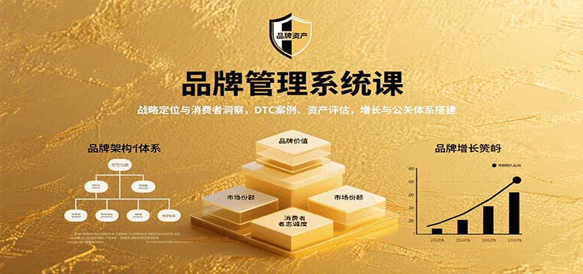 品牌管理系统课：战略定位与消费者洞察，DTC案例、资产评估，增长与公关体系搭建-怪兽网创俱乐部