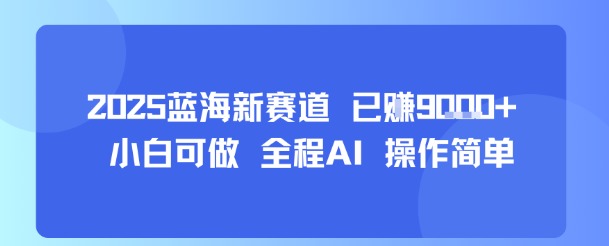 2025蓝海新赛道 已挣9k+ 小白可做 全程AI 操作简单-怪兽网创俱乐部