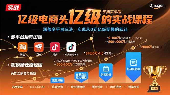 （15803期）亿级电商头部卖家的实战课程：涵盖多平台玩法，实现从0到亿级规模的跃迁-怪兽网创俱乐部