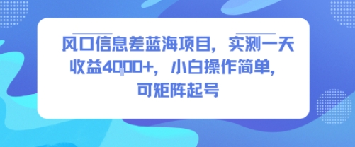 风口信息差蓝海项目，实测一天收益4k+，小白操作简单，可矩阵起号-怪兽网创俱乐部