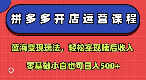 拼多多开店运营课程：蓝海变现玩法，轻松实现睡后收入，零基础小白也可日入5张-怪兽网创俱乐部