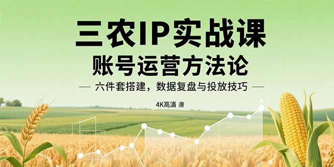 三农IP实战课：账号运营方法论，六件套搭建，数据复盘与投放技巧-怪兽网创俱乐部