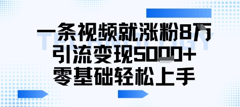 一条视频就涨粉8W引流变现5k+，0基础项目轻松上手-怪兽网创俱乐部