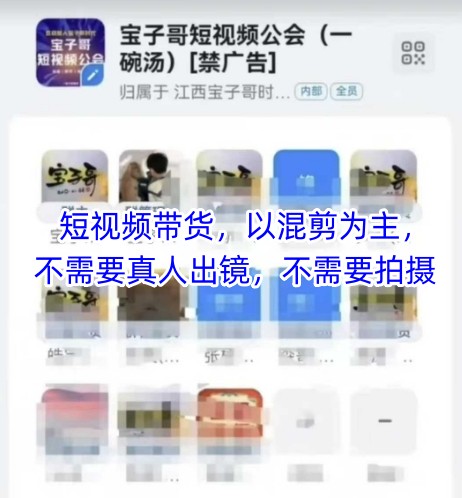 宝子哥头部团队短视频带货，以混剪为主，不需要真人出镜，不需要拍摄【更新8月】-怪兽网创俱乐部
