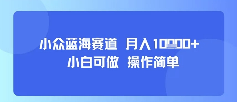 小众蓝海赛道，小白可做，操作简单，每天30分钟，月入1W+-怪兽网创俱乐部