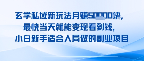 玄学私域新玩法月入1W+，最快当天就能变现看到米，小白新手适合入局做的副业项目-怪兽网创俱乐部